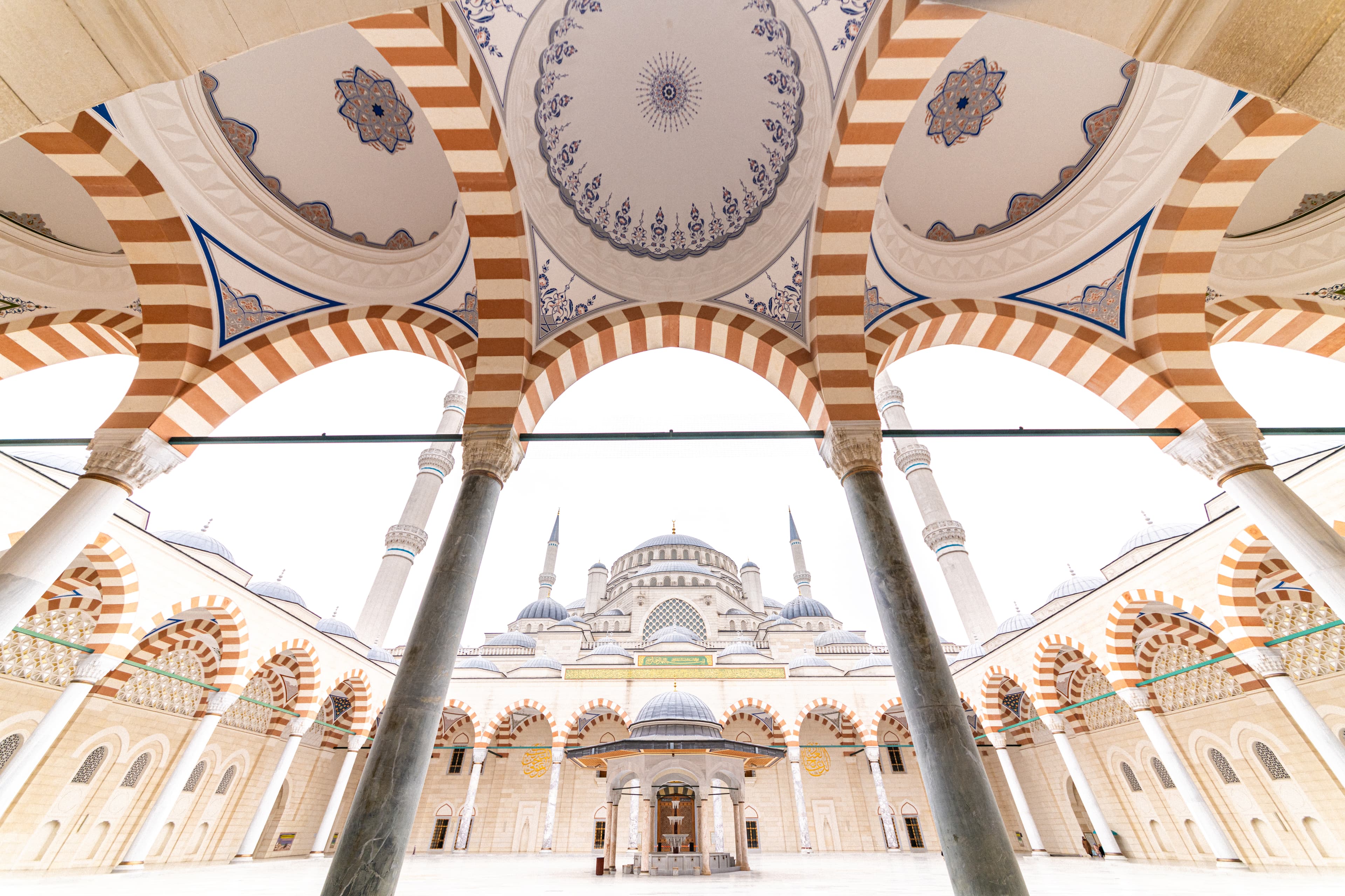 check booking background