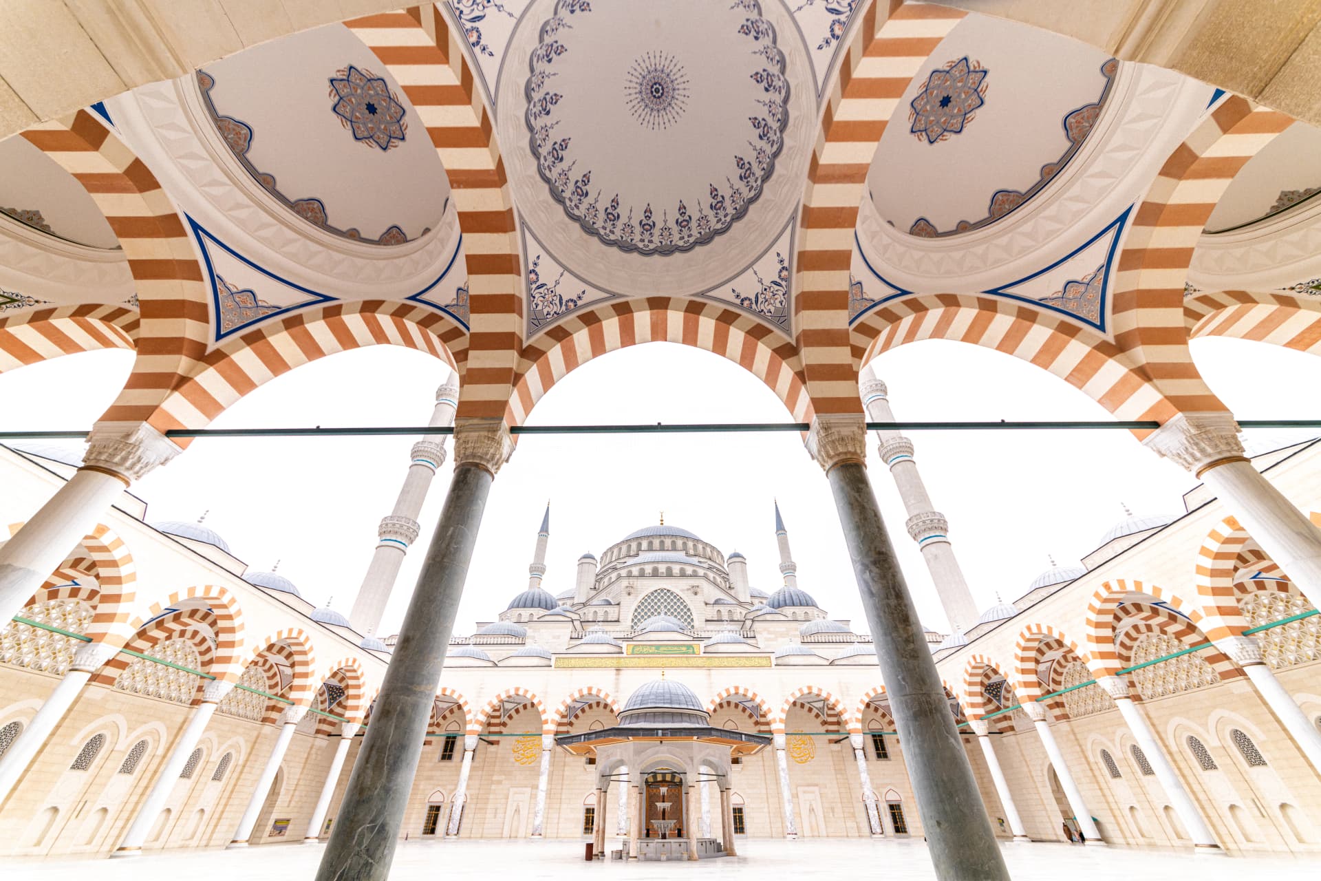 check booking background